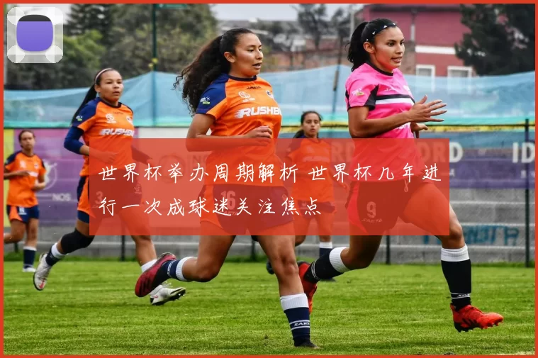 世界杯举办周期解析 世界杯几年进行一次成球迷关注焦点