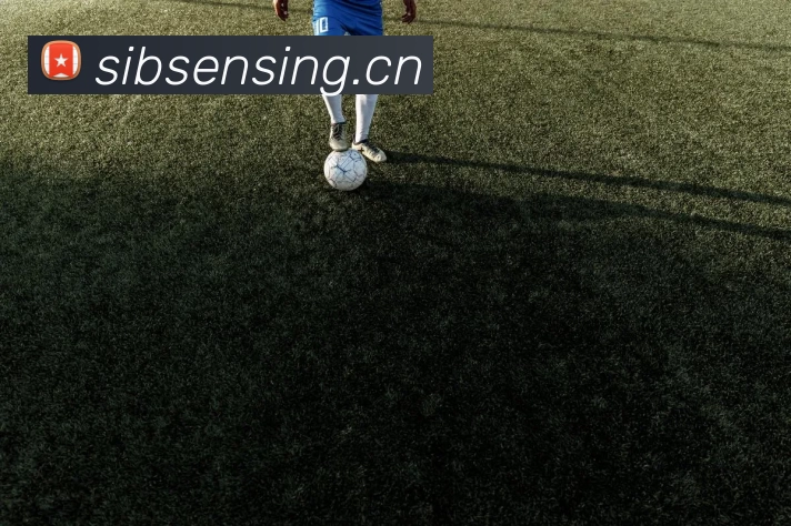 首页| 尊龙集团中国官方网站发展历程