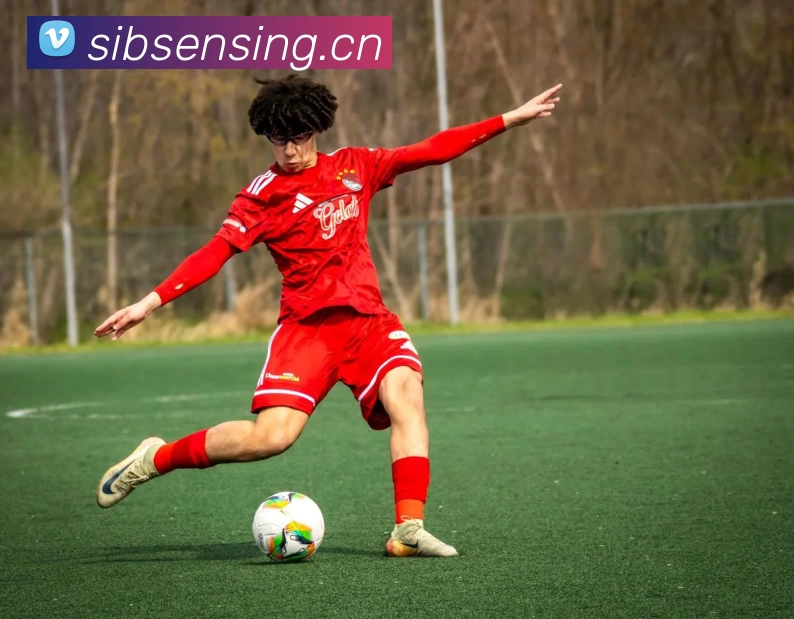 冬季奥运会场馆检修与赛时交通方案公布 提升观赛体验与保障效率